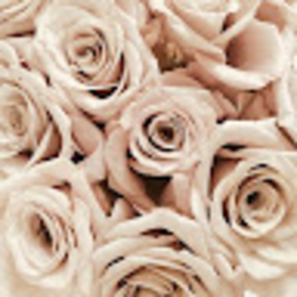 Meet your Posher, Mckayla - Picture 1 of 1